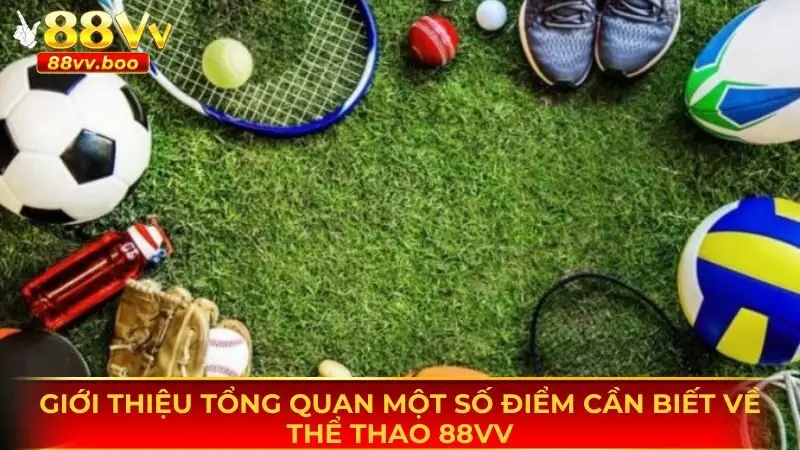 Thể Thao 88vv 1 Tổng quan một vài điểm cần nắm được về thể thao 88vv